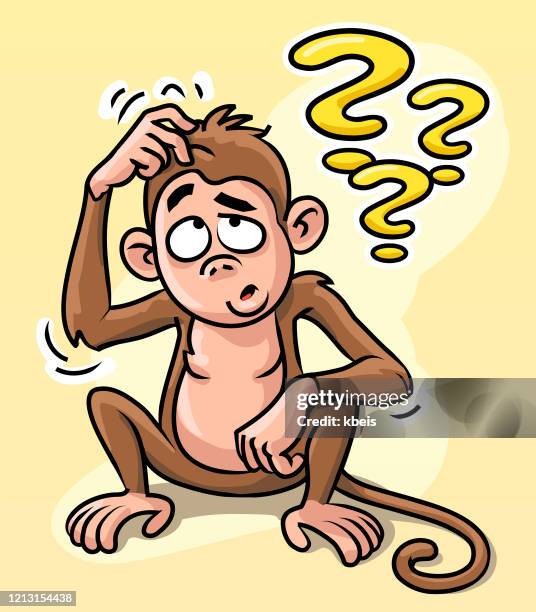 confused monkey scratching its head - scratching head thinking stock illustrations