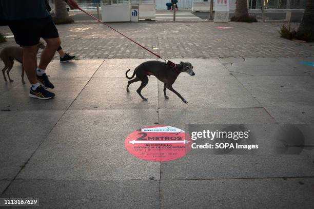 Social distancing sticker on the ground at the commercial area 'Muelle Uno' during the partial lockdown after the beginning of phase 1 in some...