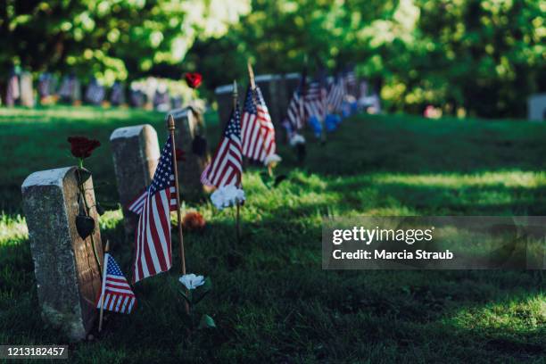 memorial day military veteran graves - veteran memorial stock pictures, royalty-free photos & images
