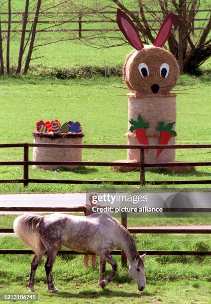 Ein Osterhase und ein Osterkorb aus Stroh stehen am 22.4.2000 bei schönstem Frühlingswetter an einer Pferdekoppel an der Bundesstraße 454 bei...