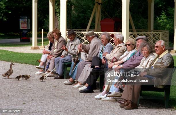 Neugierig betrachtet eine Ente mit ihren Jungen am 14. Juli 1999 im Park von Schloß Ludwigsburg eine Gruppe sich sonnender Seniorinnen und Senioren....