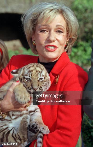 Tagesschau-Sprecherin und "Taufpatin" Dagmar Berghoff hält am 30.9.1998 im Hamburger Tierpark Hagenbeck das Sibirische Tigerbaby Mischa im Arm. In...