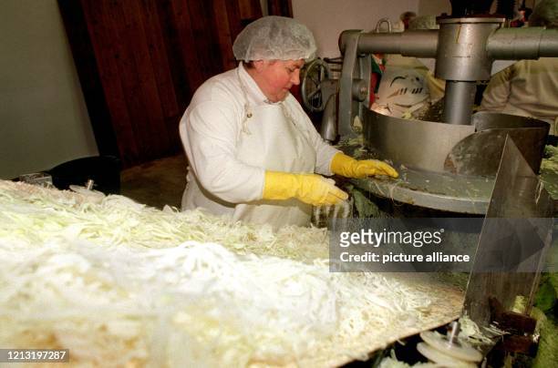 Eine Mitarbeiterin kontrolliert den fein geschnittenen Weißkohl, aufgenommen am . Die Sauerkrautfabrik aus Hameln hat zwölf bis zu 13 Tonnen fassende...