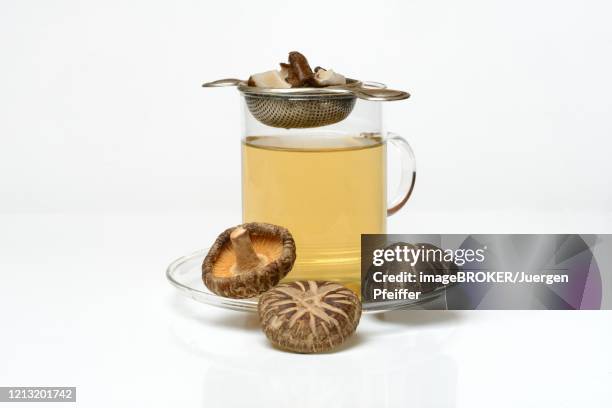 shiitake tea in tea glass with tea strainer and shiitake mushrooms, germany - shiitake mushroom stock pictures, royalty-free photos & images