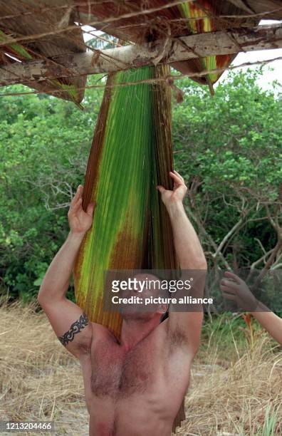 Aus Palmblättern, die er auf ein Holzgestell legt, baut Michael, Teilnehmer der SAT.1-Abenteuer-Show "Das Inselduell", am 3.6.2000 auf der...