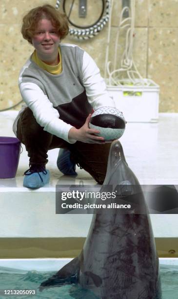 Die Tierphysiologin Hilke Bertelsmann spielt am Donnerstag 9.11.2000 im Nürnberger Tiergarten mit dem Delfin Moby Ball, um das Verhalten der Delfine...