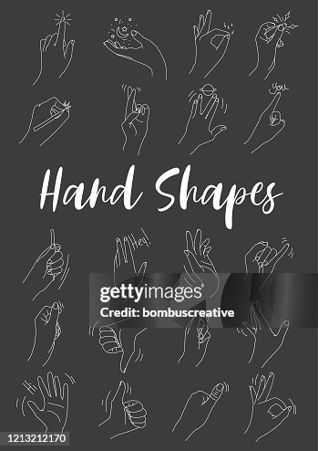 Rectangle Hand Hand Shapes Set Illustration High-Res Vector Graphic - Getty Images