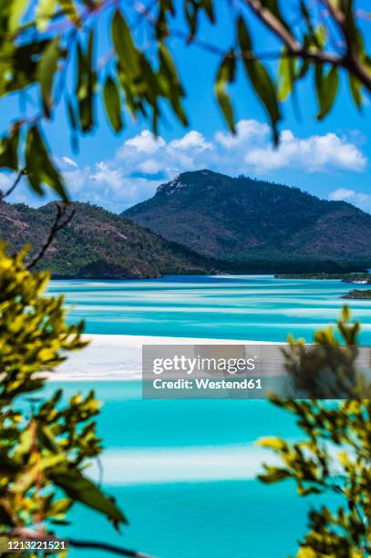 australia, queensland, view of whitsunday islands - whitsunday island stockfoto's en -beelden