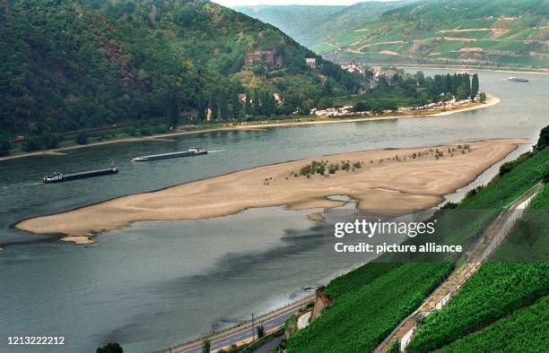 Blick am 19.8.1998 über die Weinberge von Assmannshausen auf Trechtingshausen und den Rhein, aus dem wegen Niedrigwasser die Sandbänke aus dem Wasser...