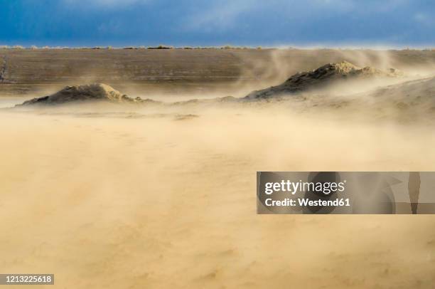 netherlands, goeree-overflakkee, sandstorm in dunes - sand storm stock pictures, royalty-free photos & images