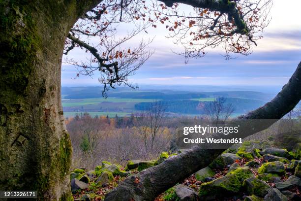 Rauher Kulm Photos and Premium High Res Pictures Getty Images