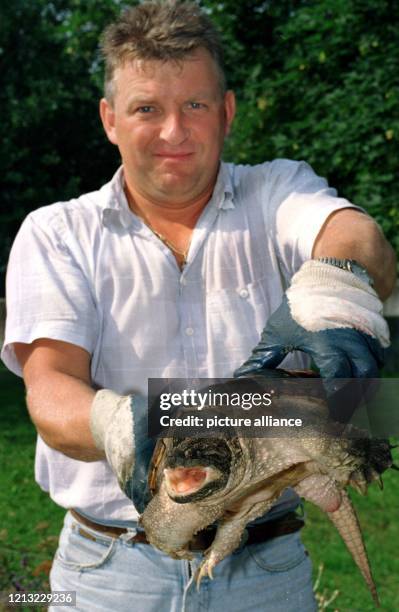 Sergei Iwanow hält am 21.7.1998 in Erbach die rund einen halben Meter lange Schnappschildkröte "Heinz-Rüdiger" mit Handschuhen hoch. Der Mitarbeiter...