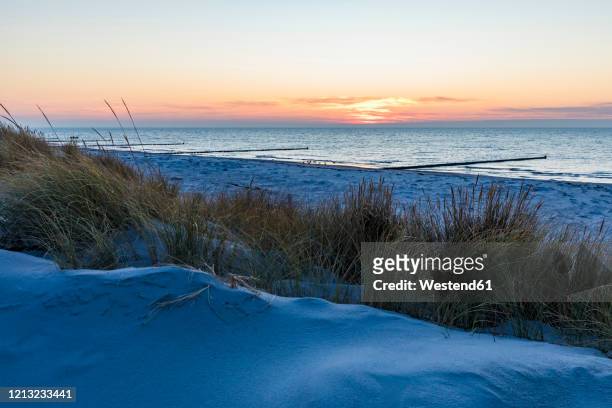 germany, mecklenburg-western pomerania, vitte, grassy dune on sandy coastal beach at sunset - hiddensee photos et images de collection