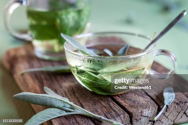 cup of hot sage tea - herbal tea fotografías e imágenes de stock