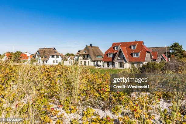 germany, mecklenburg-western pomerania, vitte, coastal flora with summer houses in background - hiddensee stock pictures, royalty-free photos & images