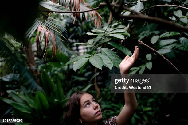 female teenager in botanical garden looking up to leaves - rainforest garden stock-fotos und bilder