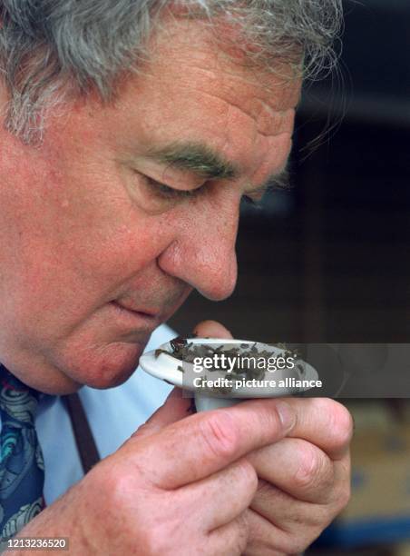 Teetester Antony Dearly bei einer Riechprobe von aufgebrühtem schwarzem Tee. Nach der Wahl ihres Testers ordert das Traditionshaus "Teekanne" Sorten...