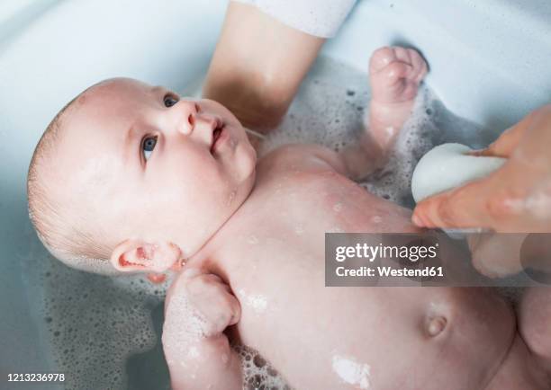 mother bathing her baby boy in a tub - bañando bebe fotografías e imágenes de stock