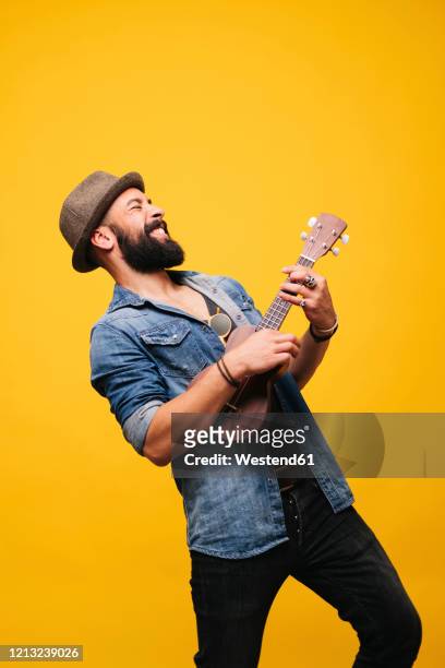 passionate young man in studio playing ukulele - ukulele stock-fotos und bilder