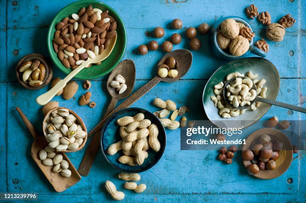 overhead view of various nuts in bowls and on spoons on blue rustic table - macadamia nut 個照片及圖片檔