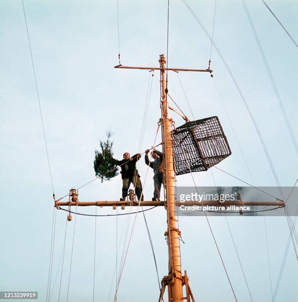 Zwei Besatzungsmitglieder des Feuerschiffes "Weser" befestigen einen Tannenbaum am Mast. .