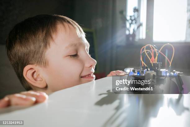 boy assembling robot at home - animal robot stock-fotos und bilder
