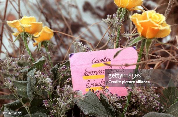 Carla, komm bald wieder steht am 28.1.1998 auf einem Brief an der Stelle, wo Carla am 22.1. Überfallen, sexuell mißbraucht und anschließend in einen...