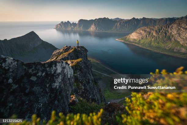 a woman stand on top of husfjellet in senja island in summer season, norway, scandinavia - tromsö stock-fotos und bilder