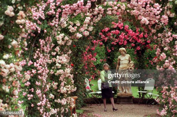 Seine volle Pracht entfaltet dieser Tage der "Rosengarten am Beutig" in der Kur-und Bäderstadt Baden-Baden. Tausende von Rosen erblühen in...