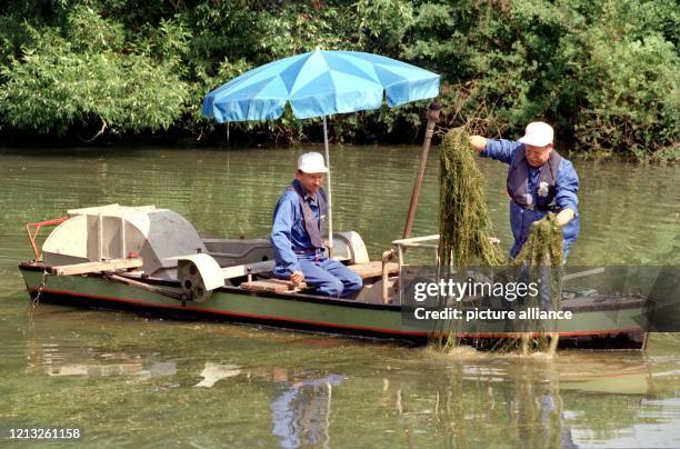 Mit dem wohl einzigen schwimmenden Rasenmäher kürzen Ludwig Alesch und Karl Kutcinski am 29.6.1998 die Unterwasserpflanzen im 7,5 Kilometer langen...