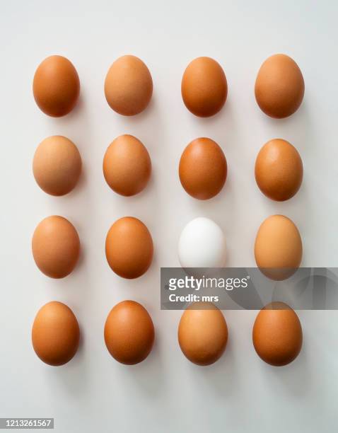 eggs - mismatch 個照片及圖片檔
