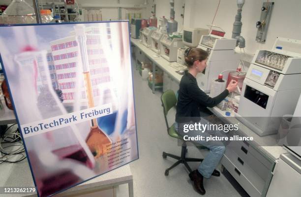 Eine Angestellte der Firma Biotech GmbH arbeitet am 28. Januar 1998 im Labor des Unternehmens, das dem BioTechPark Freiburg angehört . Mit dem Park,...