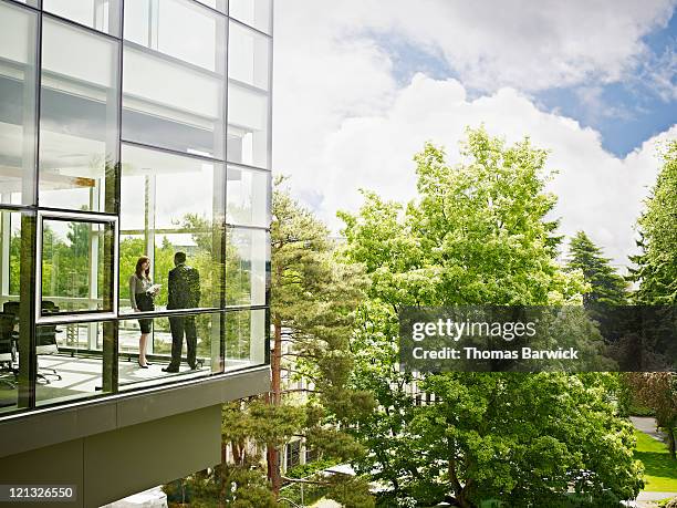 coworkers in conference room view from outside - lush greenery stock pictures, royalty-free photos & images