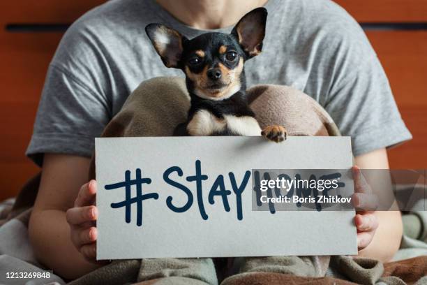 stay home! - hashtag stockfoto's en -beelden