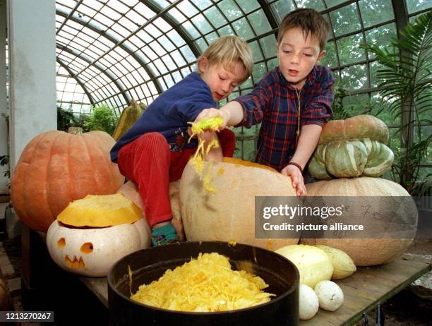 Der sechsjährige Apard und der siebenjährige Jens höhlen beim großen Kürbisschnitzen im Frankfurter Palmengarten einen riesigen Kürbis aus (Foto vom...