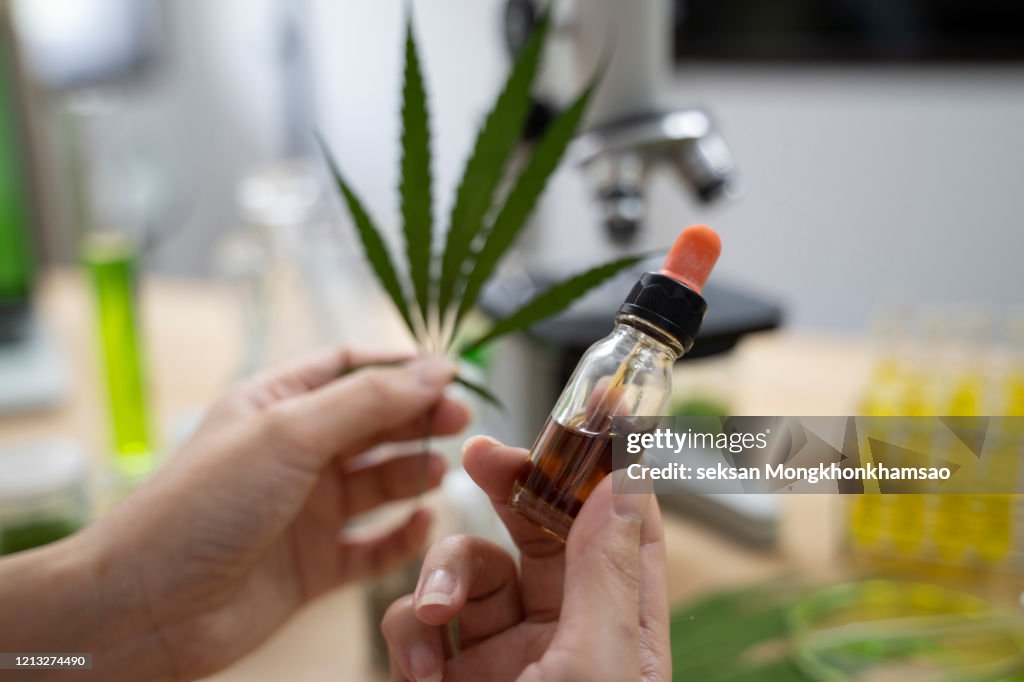 Close up of cannabis oil and leaf in scientists' hands.