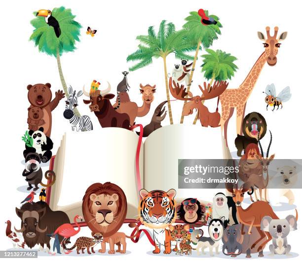 animals and book - mandrill stock illustrations