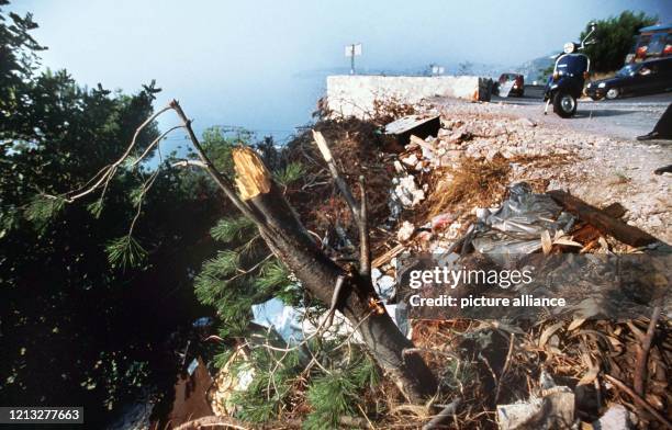 Nach dem tragischen Tod von Diana werden Erinnerungen an Fürstin von Monaco, Gracia Patricia, wach, die ebenfalls bei einem Autounfall ums Leben kam...