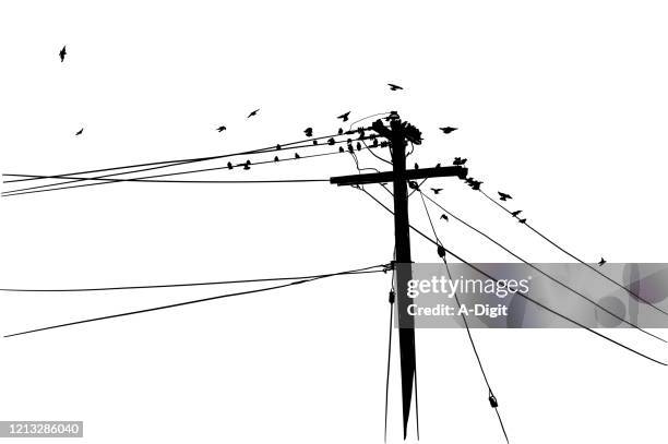 birds hangout silhouette - charming stock illustrations