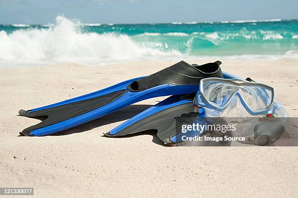 snorkelling equipment at water's edge, mustique, grenadine islands - zwemvliezen stockfoto's en -beelden