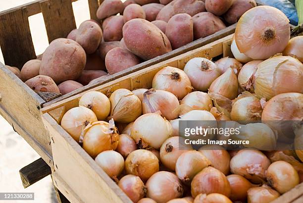 cebola e batatas em bancas do concorrido vegetais - cebola imagens e fotografias de stock