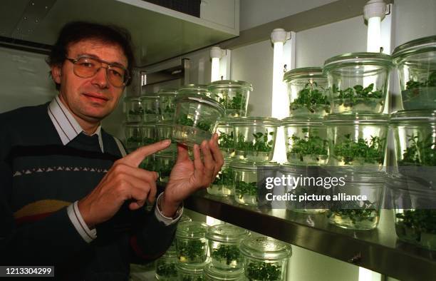 Der Biotechniker Karl Gebhardt zeigt auf ein Glas in dem sich Waldbirnenkulturen auf künstlicher Nährlösung befinden. Über 6000 Miniaturbäume sind in...