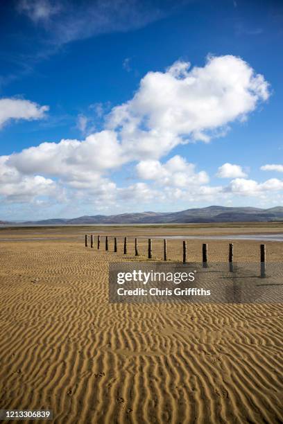 ynyslas dyfi national nature reserve, wales, united kingdom - aberystwyth stock pictures, royalty-free photos & images