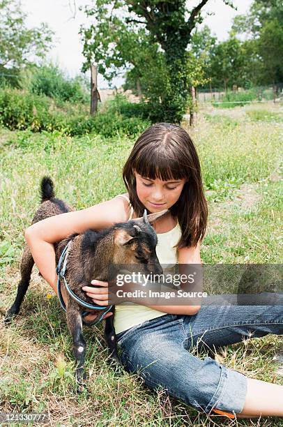 girl with goat kid in field - getkilling bildbanksfoton och bilder