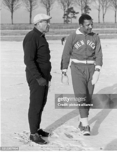 Der Trainer von Benfica Lissabon Bela Guttmann mit Caluna während des Trainings am auf dem schneebedeckten Rasen des Nürnberger Stadions. Der...