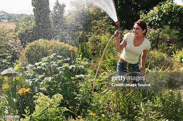 woman spraying garden with hosepipe - hose stockfoto's en -beelden