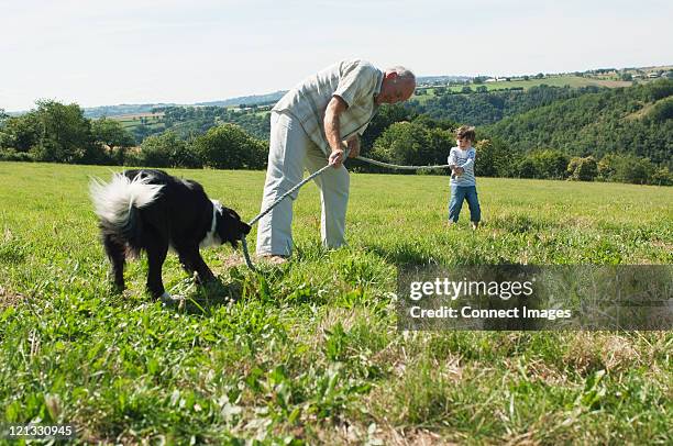 grandfather and grandsons playing tug of war in field - dogs tug of war stock pictures, royalty-free photos & images