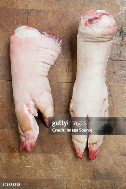 two pig's trotters - offal stock pictures, royalty-free photos & images