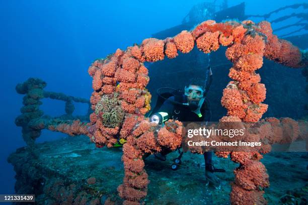 scuba diver on shipwreck - recife artificial imagens e fotografias de stock