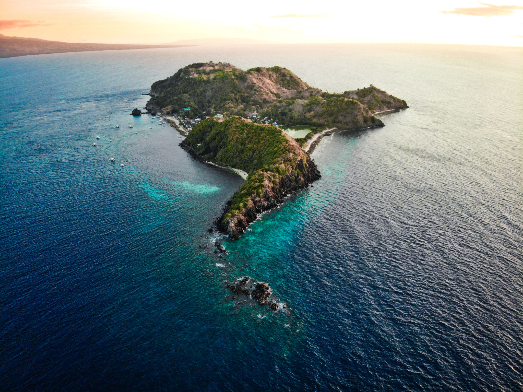 apo island